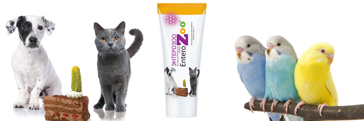 Механизм действия ЭНТЕРОЗОО (EnteroZOO), назначение